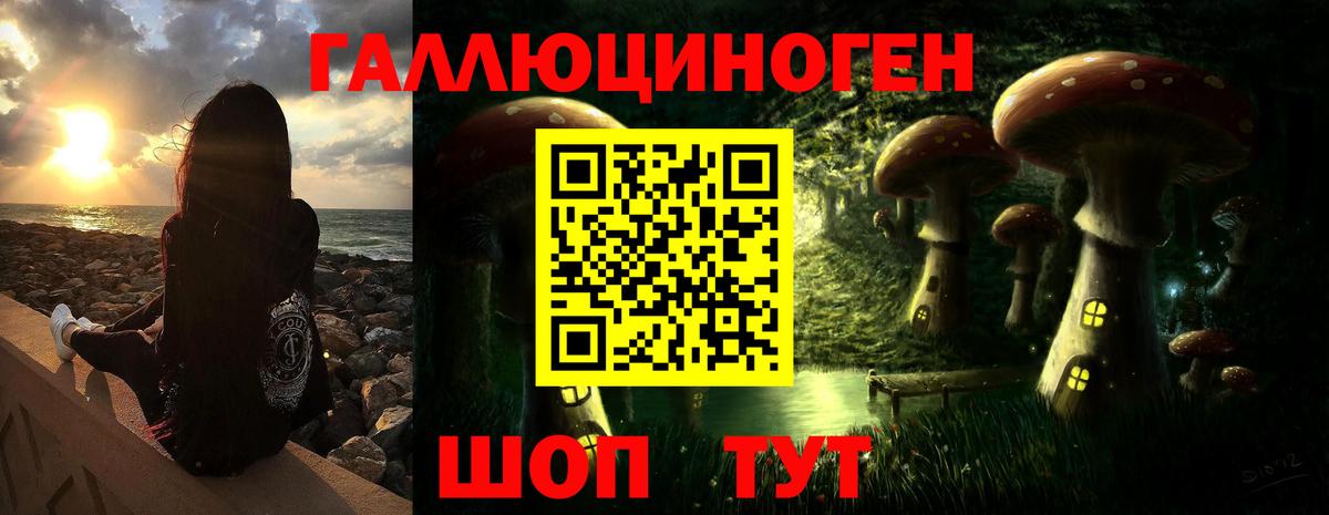 Ангарск  Псилоцибиновые грибы Magic Shrooms  Вход с VPN 